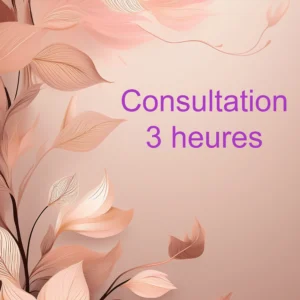 Consultation individuelle — Forfait de 3 heures